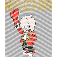 Brand Catalog-ZX 495